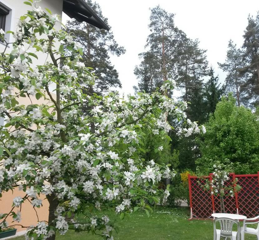 Ferienwohnung Kerth Sankt Kanzian am Klopeiner See Extérieur photo